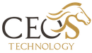 CEOS TECHNOLOGY